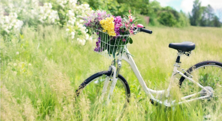 E-Bike Tipps